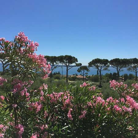 Agriturismo Nonna Bettina Moniga del Garda Kültér fotó