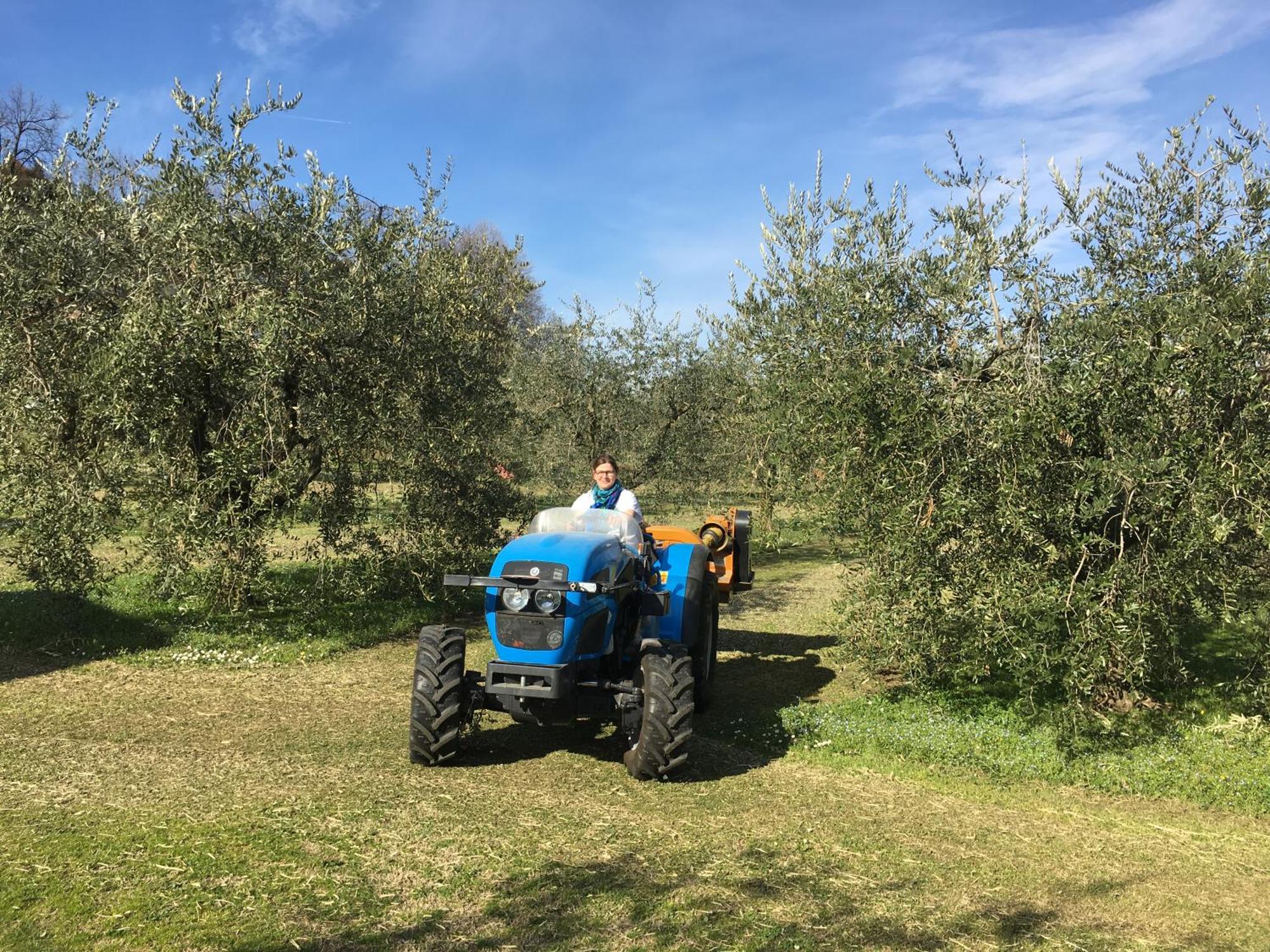Agriturismo Nonna Bettina Moniga del Garda Kültér fotó