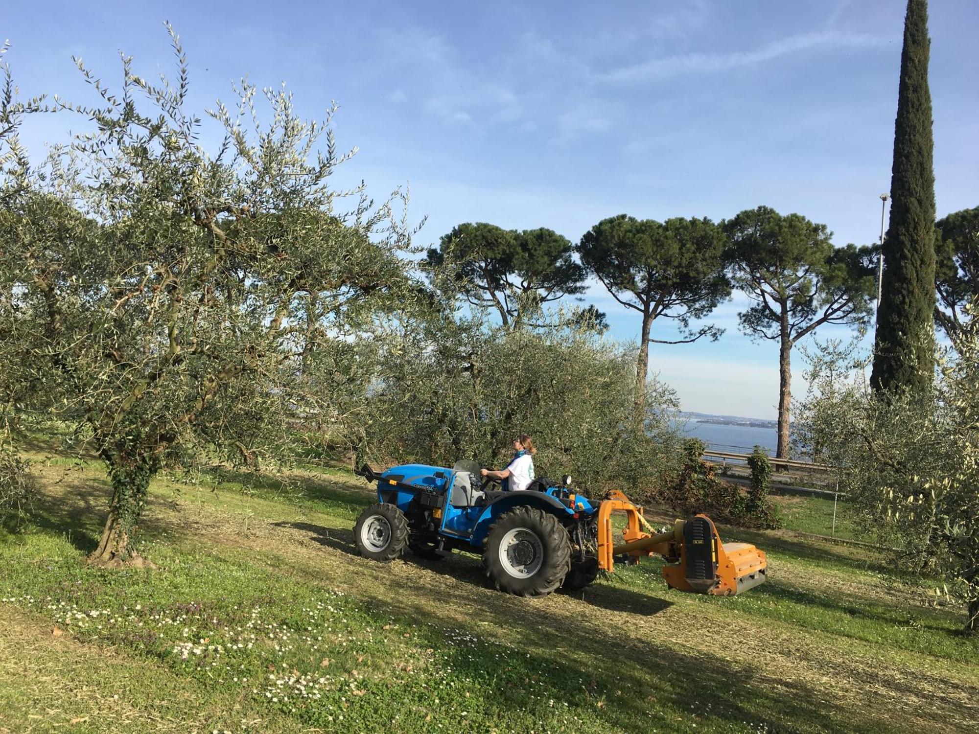 Agriturismo Nonna Bettina Moniga del Garda Kültér fotó