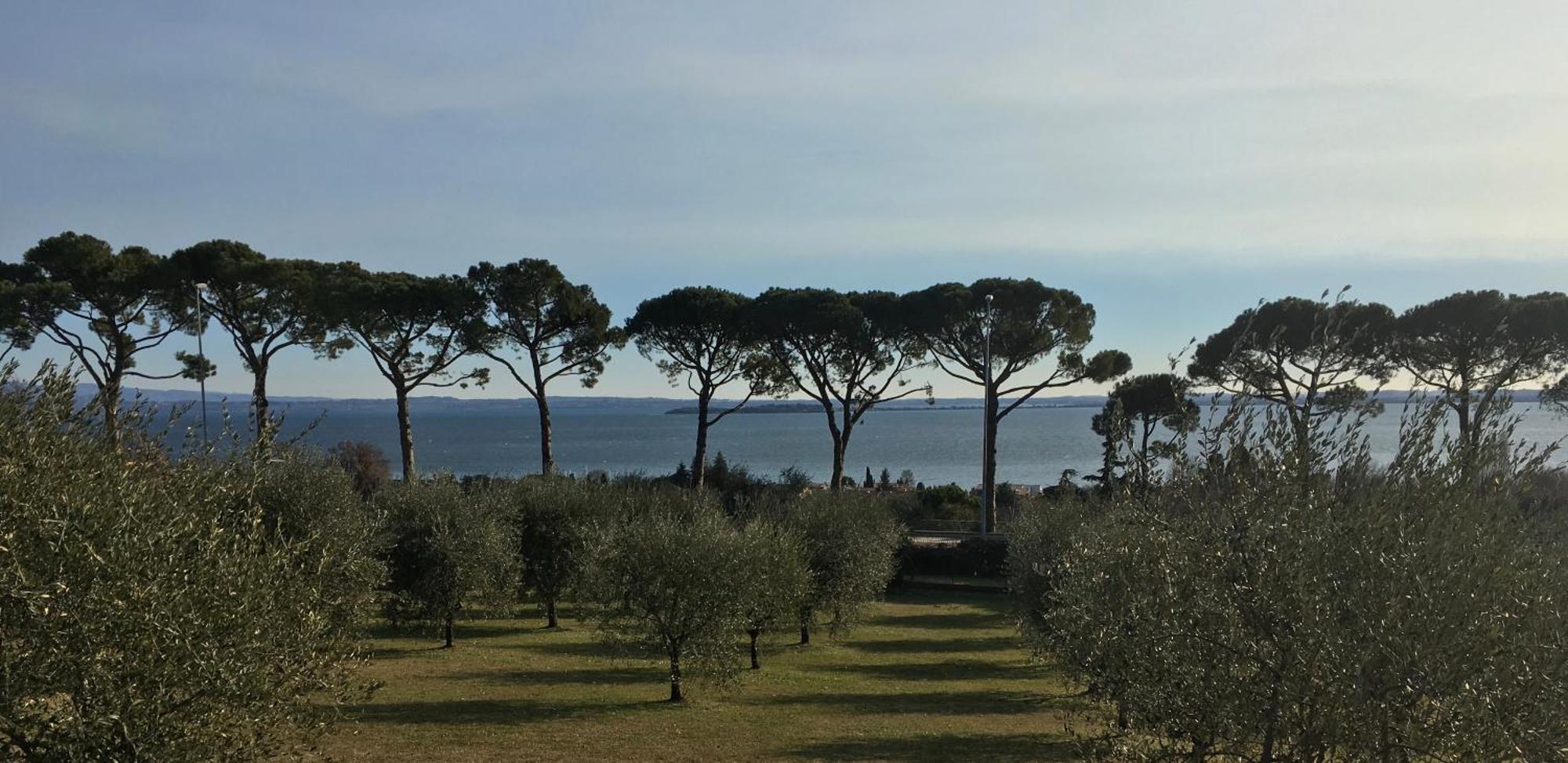 Agriturismo Nonna Bettina Moniga del Garda Kültér fotó