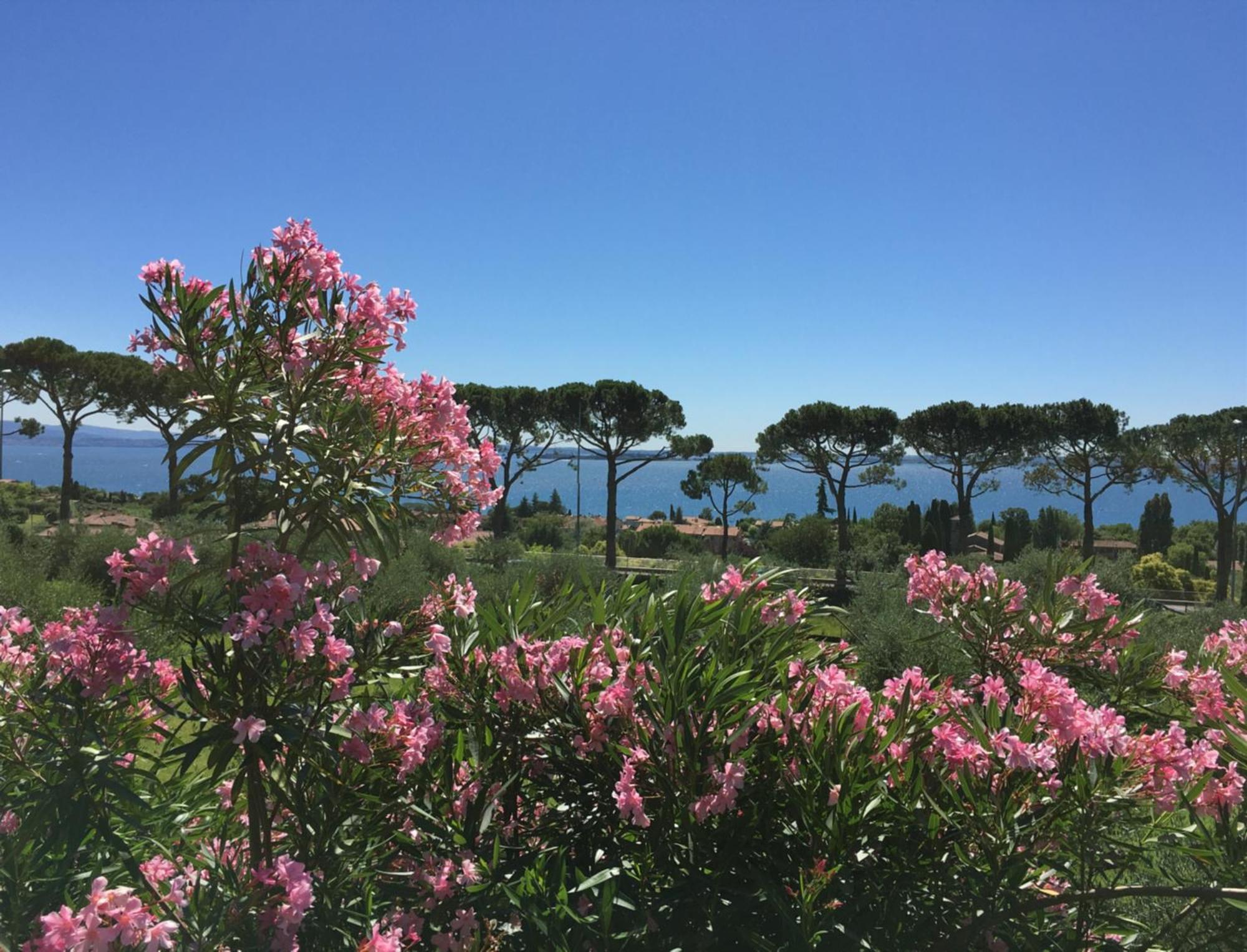 Agriturismo Nonna Bettina Moniga del Garda Kültér fotó